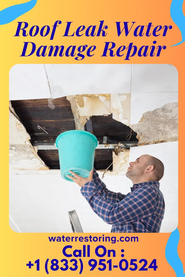 Roof Leak Water Damage Repair in New Waverly, TX
